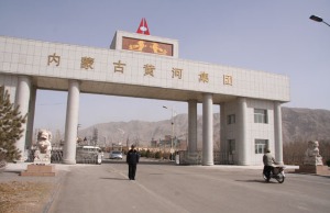 内蒙古黄河工贸集团千里山煤焦化九台初冷、终冷塔及一批换热器清洗 